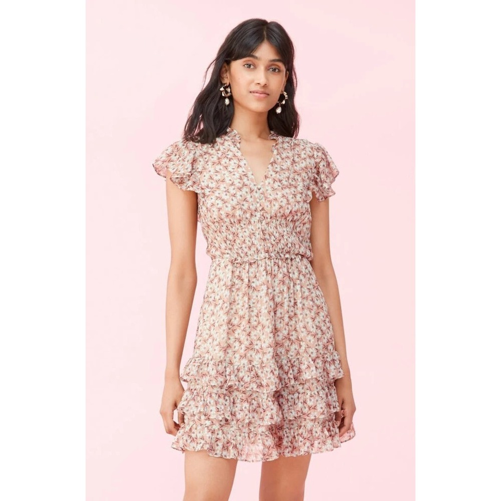 Rebecca Taylor Silk Chiffon Mini Dress 4 Pink Floral Shimmer Ruffle Romantic